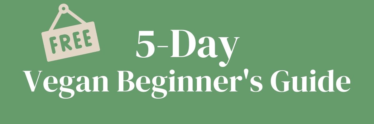 Guide To Vegan Tutorial 5 Day Vegan Beginner's Guide - Karissa's Vegan Kitchen